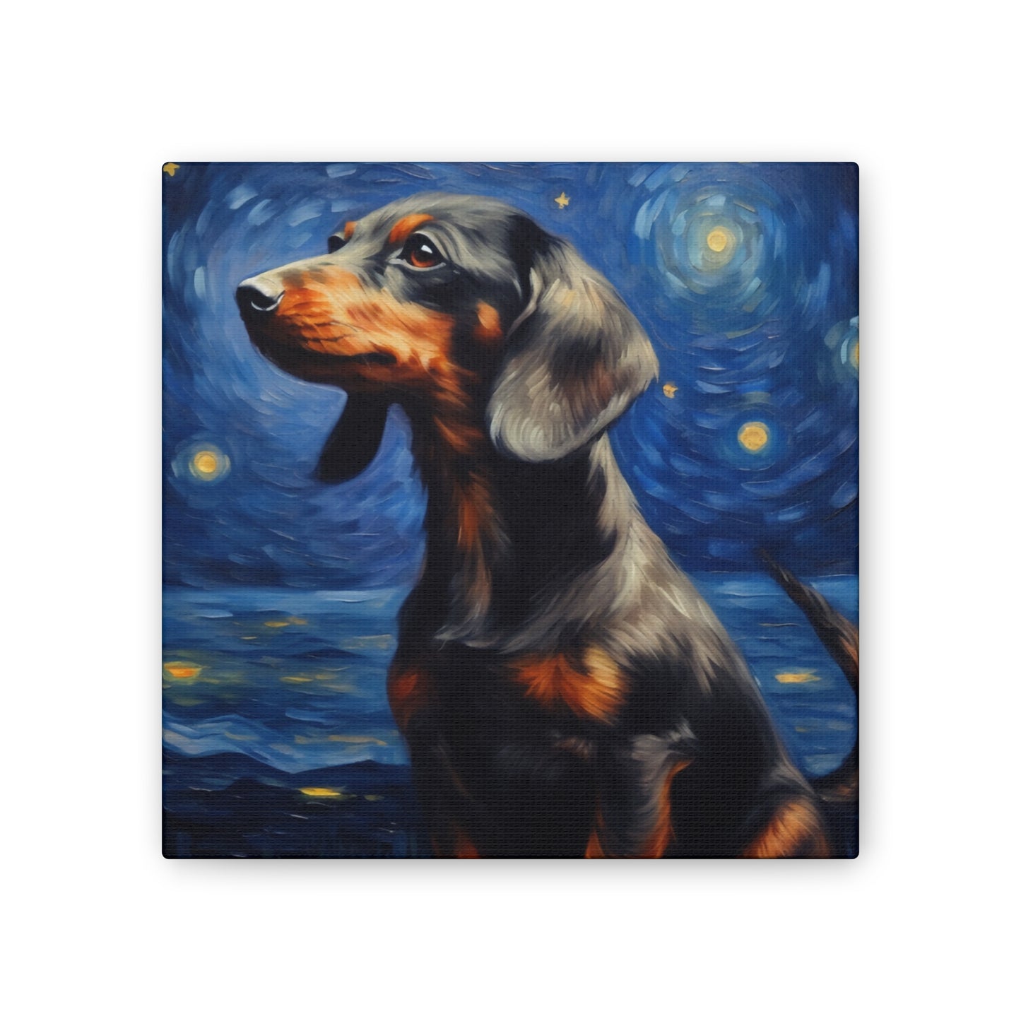 Night Stars and a Dachshund Canvas