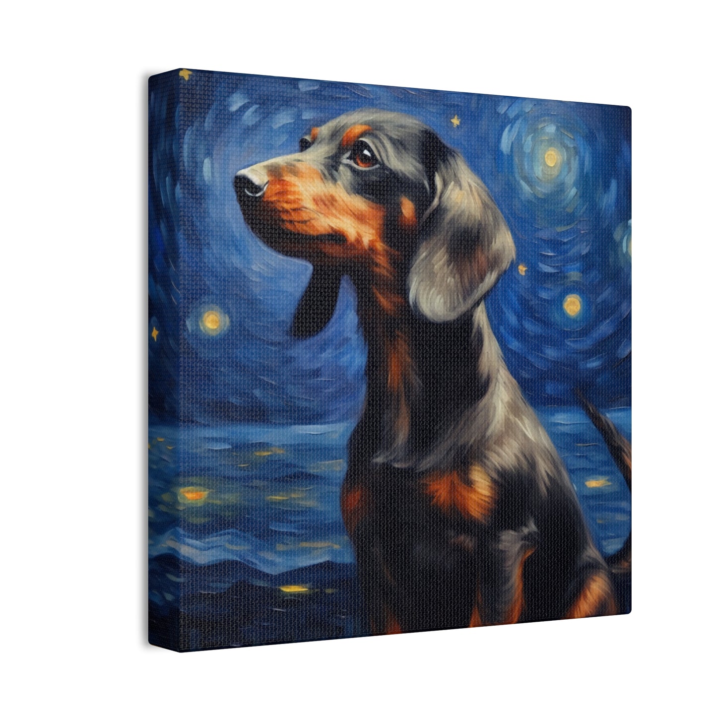 Night Stars and a Dachshund Canvas